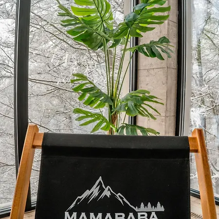 H2 Milmari * Kopaonik